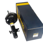 Амортизатор передний левый Raiso (Швеция) Citroen C-Elysse