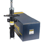 Амортизатор передний Raiso (Швеция) Peugoet Expert