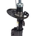 Амортизатор передний Raiso (Швеция) Citroen Jumpy