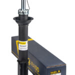 Амортизатор передний Raiso (Швеция) Renault Megane I