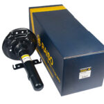 Аморттизатор передний Raiso (Швеция) Renault Grand Scenic IV