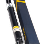 Амортизатор задний Raiso (Швеция) Renault Clio II