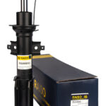 Амортизатор передний Raiso (Швеция) Renault Laguna I