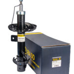 Амортизатор передний левый Raiso (Швеция) Nissan Micra C+C III