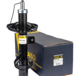 Амортизатор передний правый Raiso (Швеция) Nissan Micra C+C III