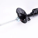 Амортизатор передний правый Raiso (Швеция) Mitsubishi Grandis