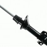 Амортизатор задний левый Raiso (Швеция) Land Rover Freelander I