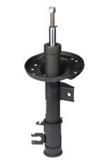 Амортизатор передній правий Raiso (Швеція)  Fiat 500, Фіат 500   2007- Raiso RS314840 - Зображення 3