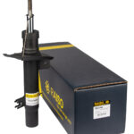 Амортизатор передний правый Raiso (Швеция) Сitroen C3 II