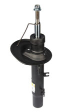 Амортизатор передній правий Raiso (Швеція) Citroen C4 Cactus, Сітроен Ц4 Кактус  09- Raiso RS315446 - Зображення 3