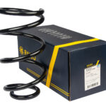 Пружина передняя Raiso (Швеция) Ford Transit