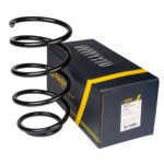 Пружина передняя Raiso (Швеция) Kia Rio II