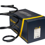 Пружина передняя Raiso (Швеция) Hyundai Sonata VI