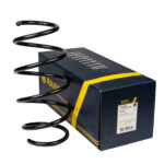 Пружина передняя Raiso (Швеция) Renault Megane III