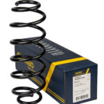 Пружина задняя Raiso (Швеция) Ford Fiesta VI