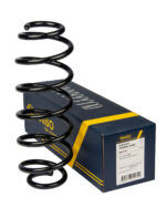 Пружина задняя Raiso (Швеция) Ford Fiesta VI