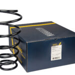 Пружина задняя Raiso (Швеция) Toyota Camry 40