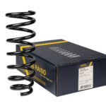 Пружина задняя Raiso (Швеция) Toyota Avensis T25