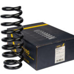 Пружина задняя Raiso (Швеция) Suzuki Grand Vitara II