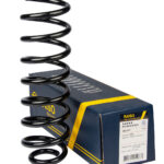 Пружина задняя Raiso (Швеция) Renault Scenic II