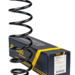 Пружина задняя Raiso (Швеция) Renault Scenic III