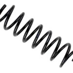 Пружина задняя Raiso (Швеция) Ford C-Max