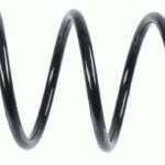 Пружина задняя Raiso (Швеция) Renault Laguna II (универсал)