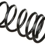 Пружина передняя Raiso (Швеция) Ford Transit