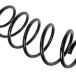 Пружина передняя Raiso (Швеция) Citroen DS4