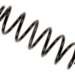 Пружина задняя Raiso (Швеция) Peugeot 307