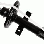 Амортизатор передний Raiso (Швеция) Renault Clio III