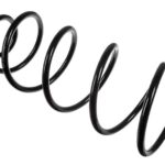 Пружина передняя Raiso (Швеция) Citroen C4