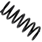 Пружина задняя Raiso (Швеция) Ford Galaxy II