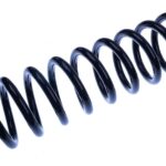 Пружина задняя Raiso (Швеция) Ford Kuga I