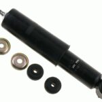 Амортизатор передний Raiso (Швеция) Volga 3102