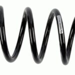 Пружина задняя Raiso (Швеция) Peugeot Partner