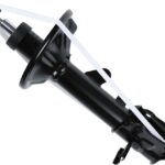 Амортизатор задний левый Raiso (Швеция) Hyundai Elantra III