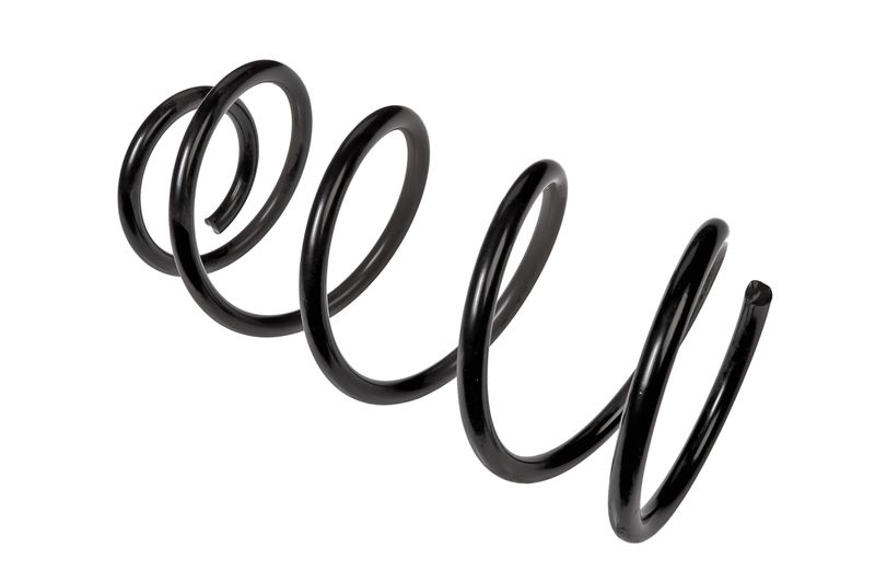 пружини передні форд фокус Пружина передняя Raiso (Швеция) Ford Focus C-Max