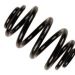 Пружина задняя Raiso (Швеция) BMW 3 (E46)