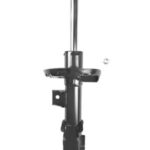 Амортизатор передний правый Raiso (Швеция) Hyundai Elantra VI