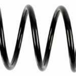 Пружина задняя Raiso (Швеция) Ford Fiesta V