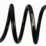 Пружина задняя Raiso (Швеция) Renault Kangoo II