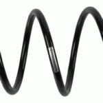 Пружина передняя Raiso (Швеция) Citroen Berlingo