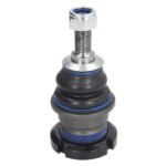 Шаровая опора задняя (нижн.задн.) Raiso (Швеция) MB M-Class W163