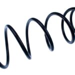 Пружина передняя Raiso (Швеция) Ford Focus I