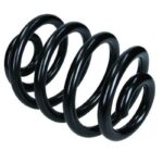 Пружина задняя Raiso (Швеция) Volkswagen Sharan