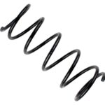 Пружина передняя Raiso (Швеция) Ford Focus I