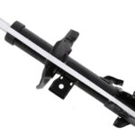 Амортизатор передний правый Raiso (Швеция) Nissan Tiida (C11)