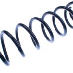 Пружина задняя Raiso (Швеция) Ford Focus I