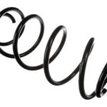 Пружина передняя Raiso (Швеция) Ford Mondeo III